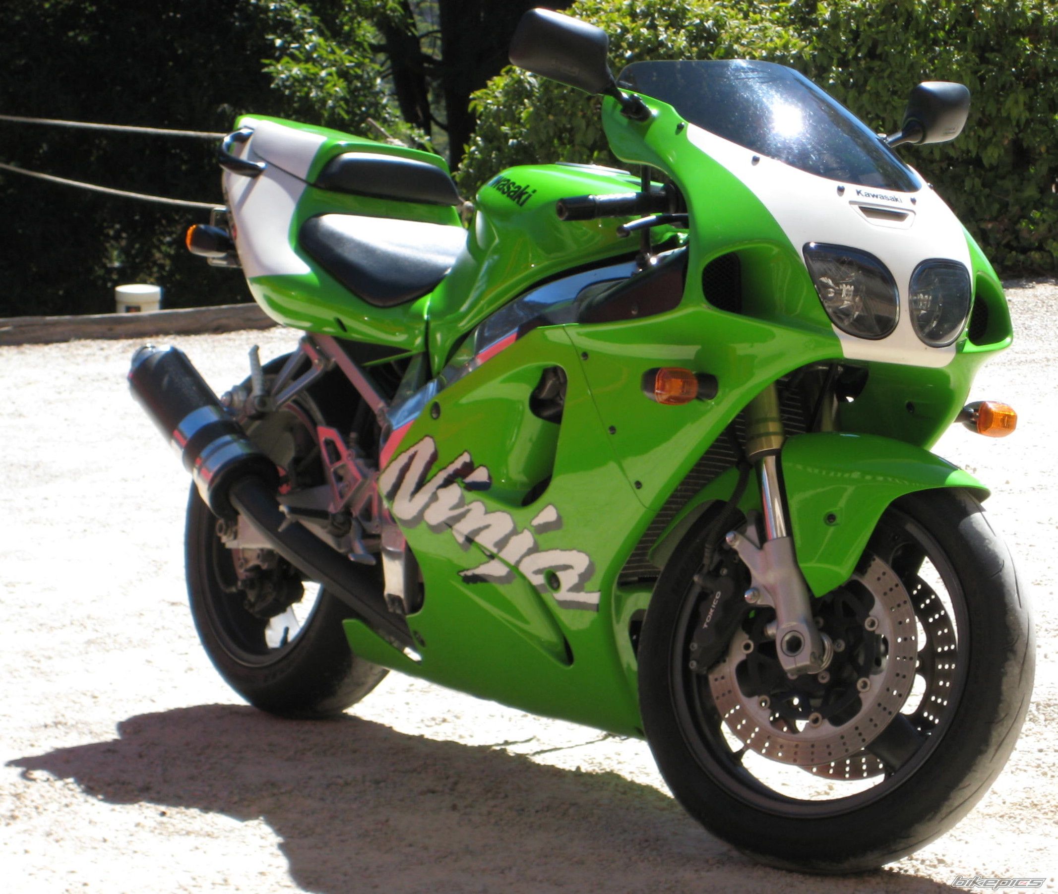 Photo 1425260