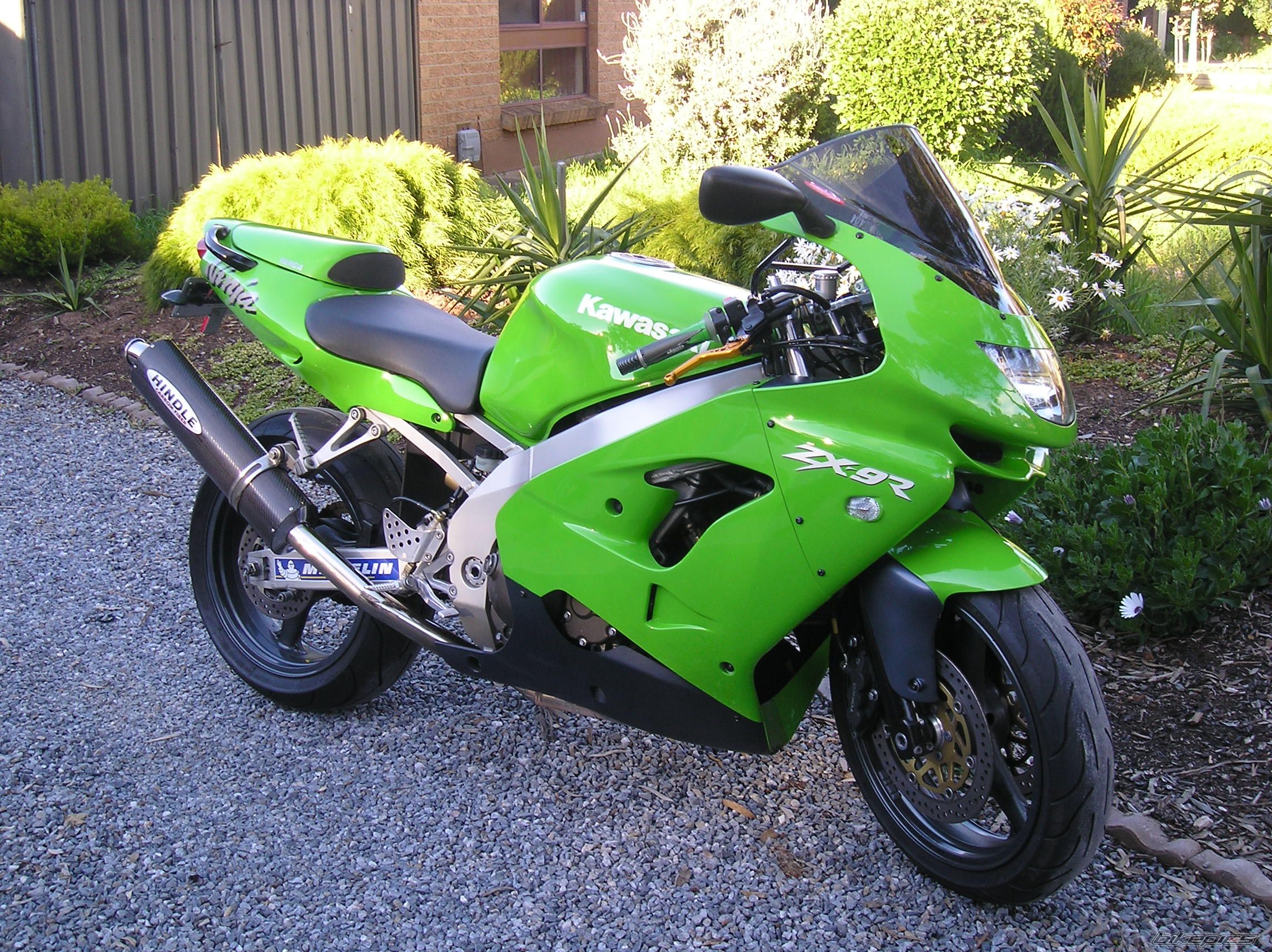Photo 1425284