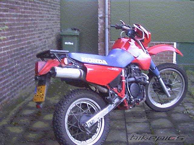 Photo 14253