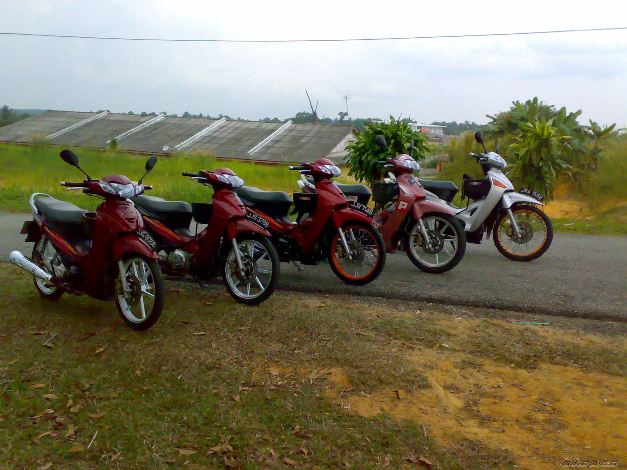 Photo 1425342