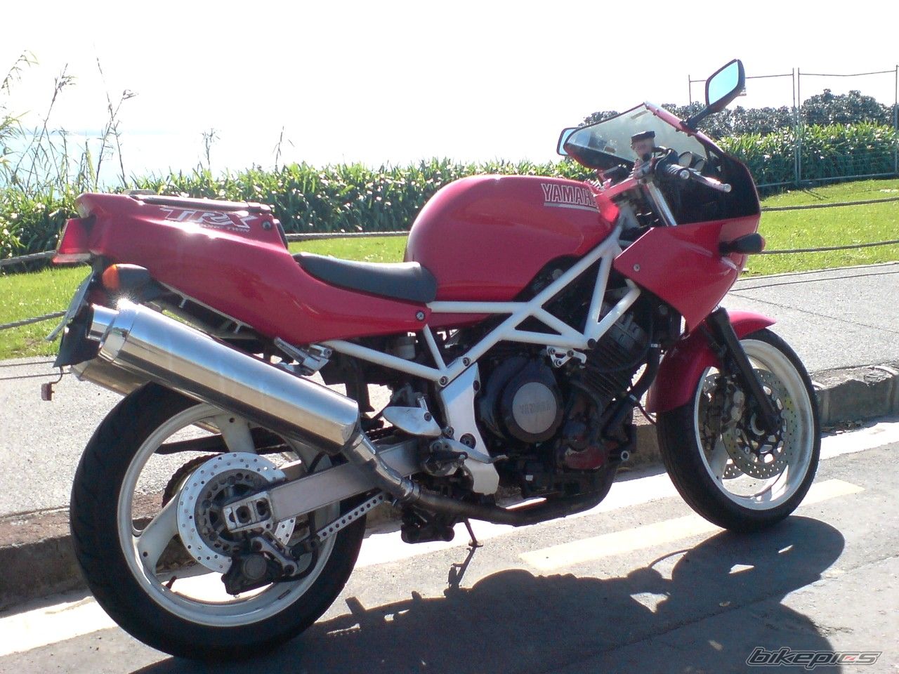 Photo 1425404