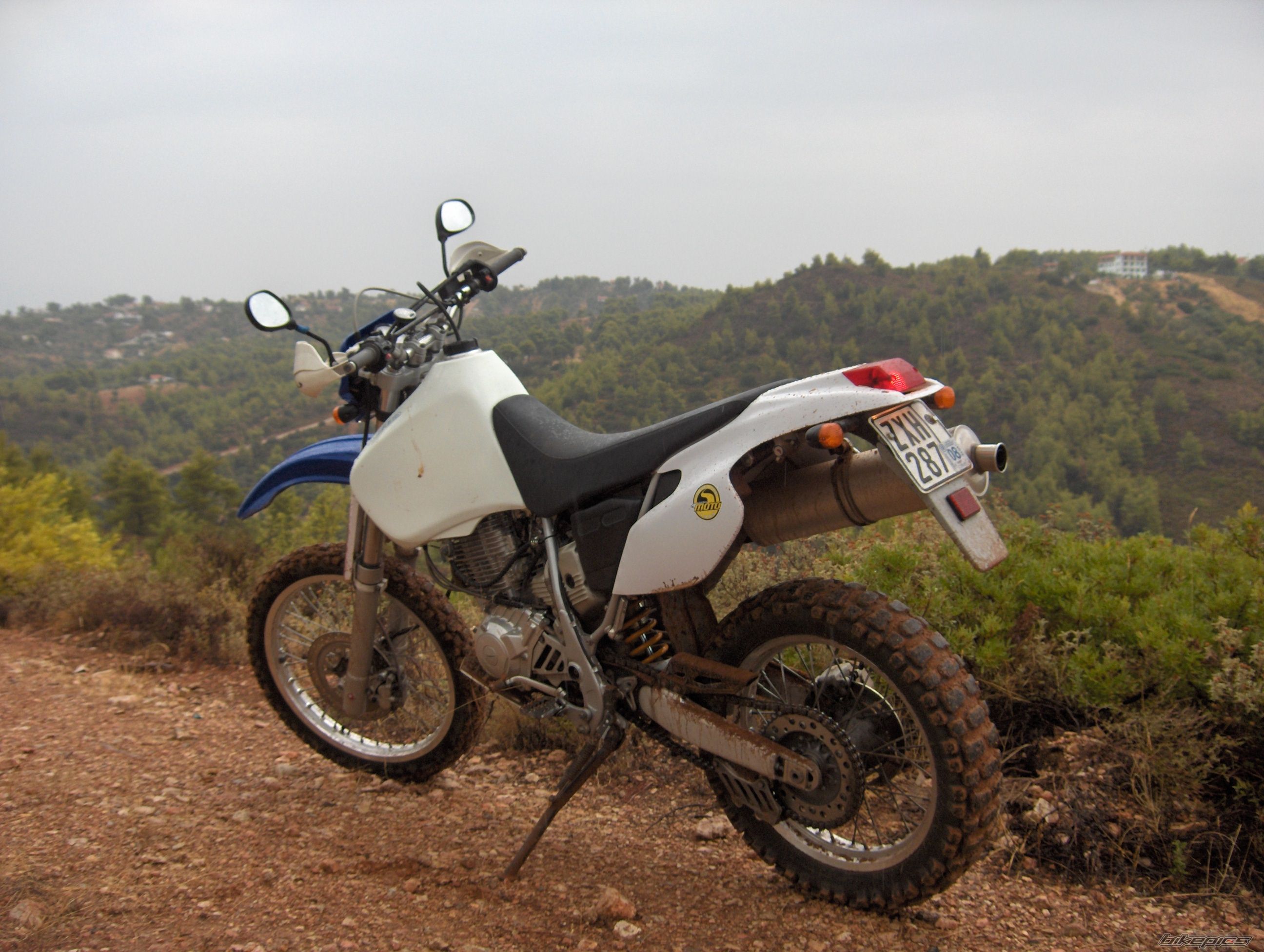 Photo 1425411