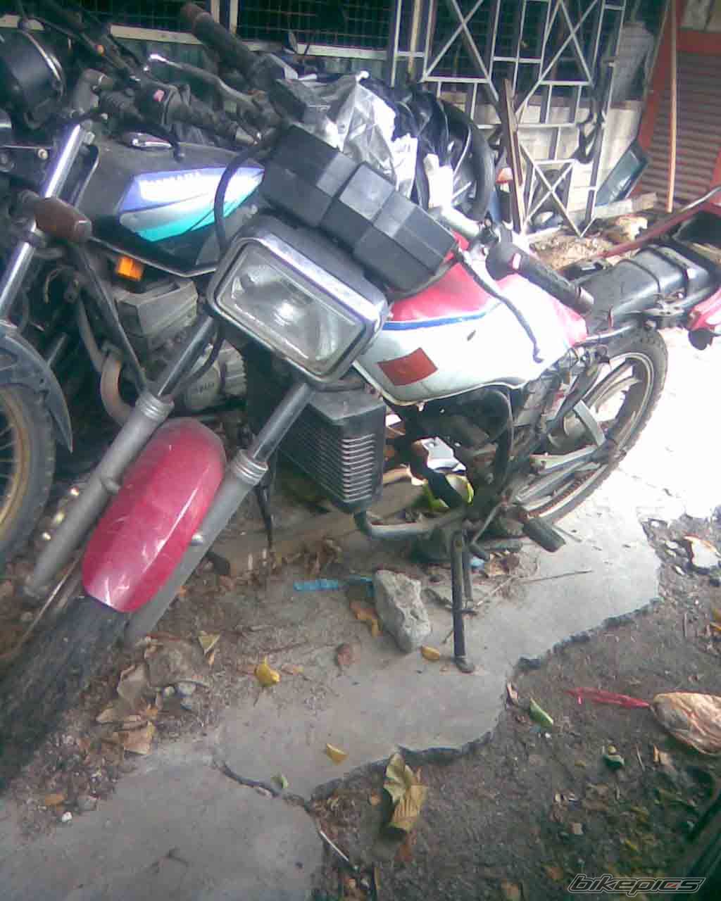 Photo 1425428
