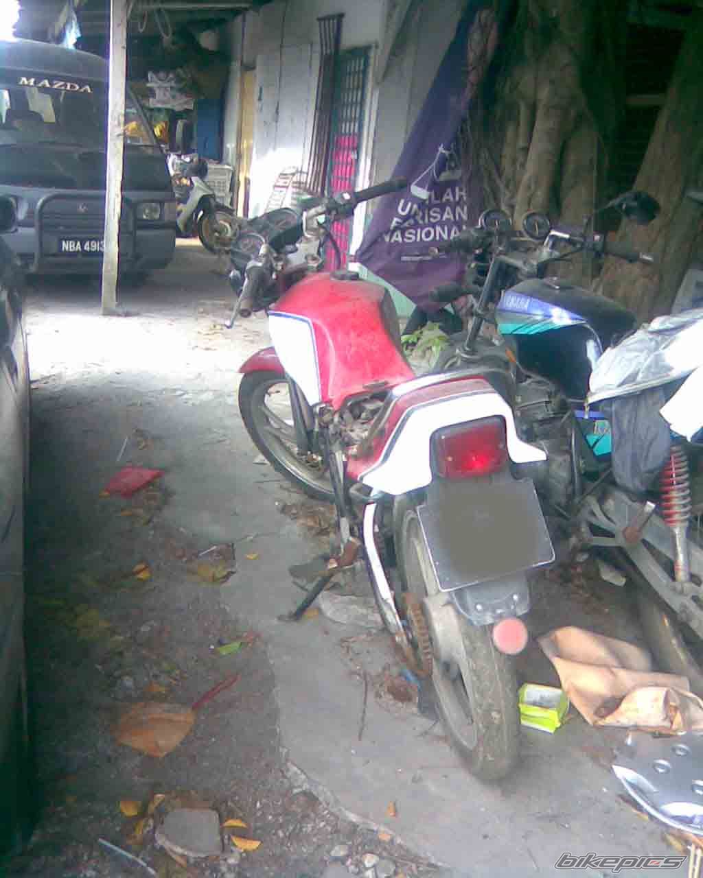 Photo 1425429