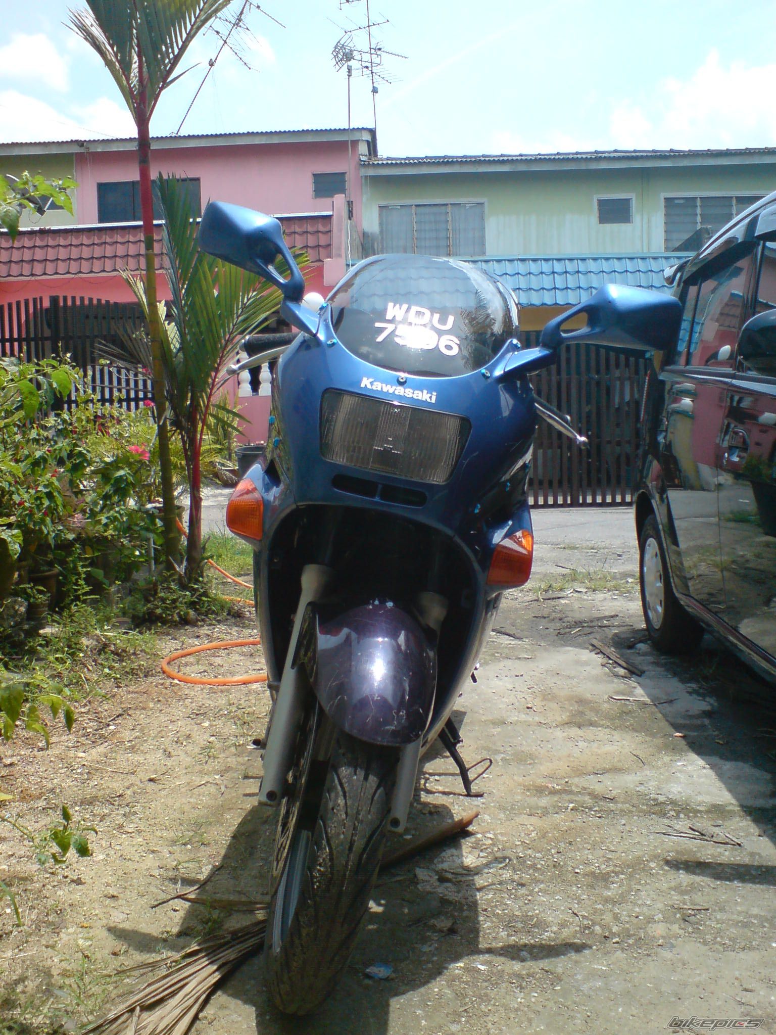 Photo 1425493