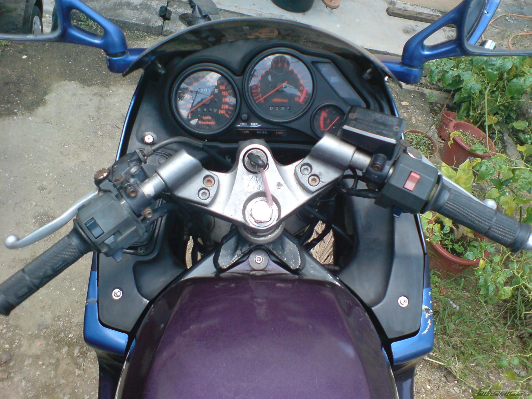 Photo 1425495