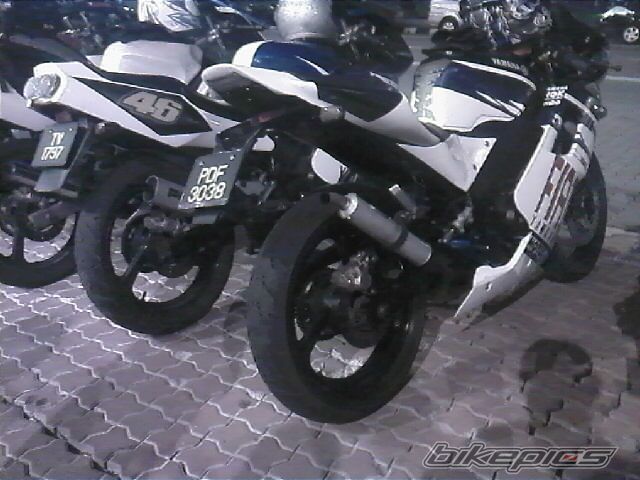 Photo 1425500