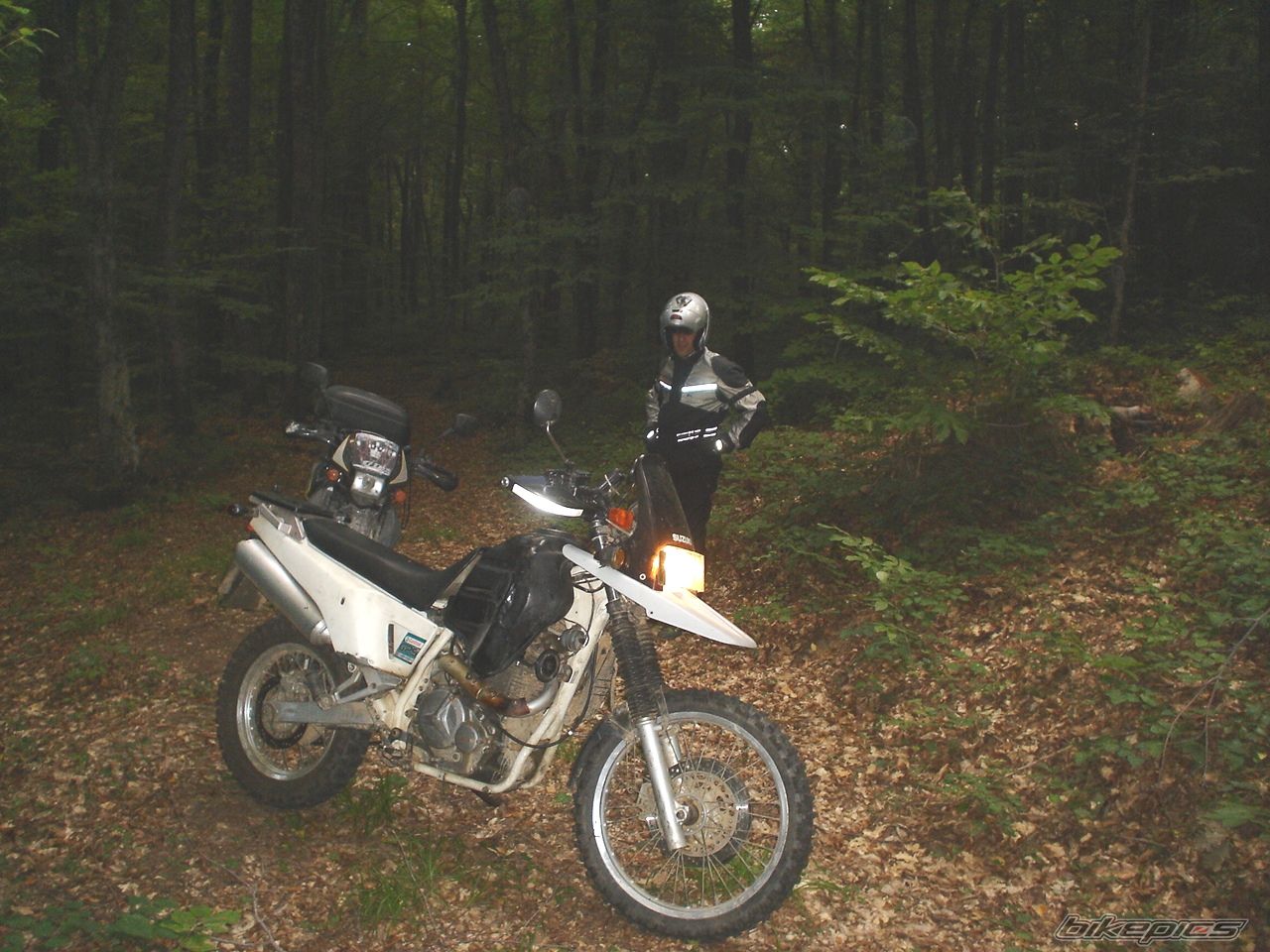 Photo 1425622