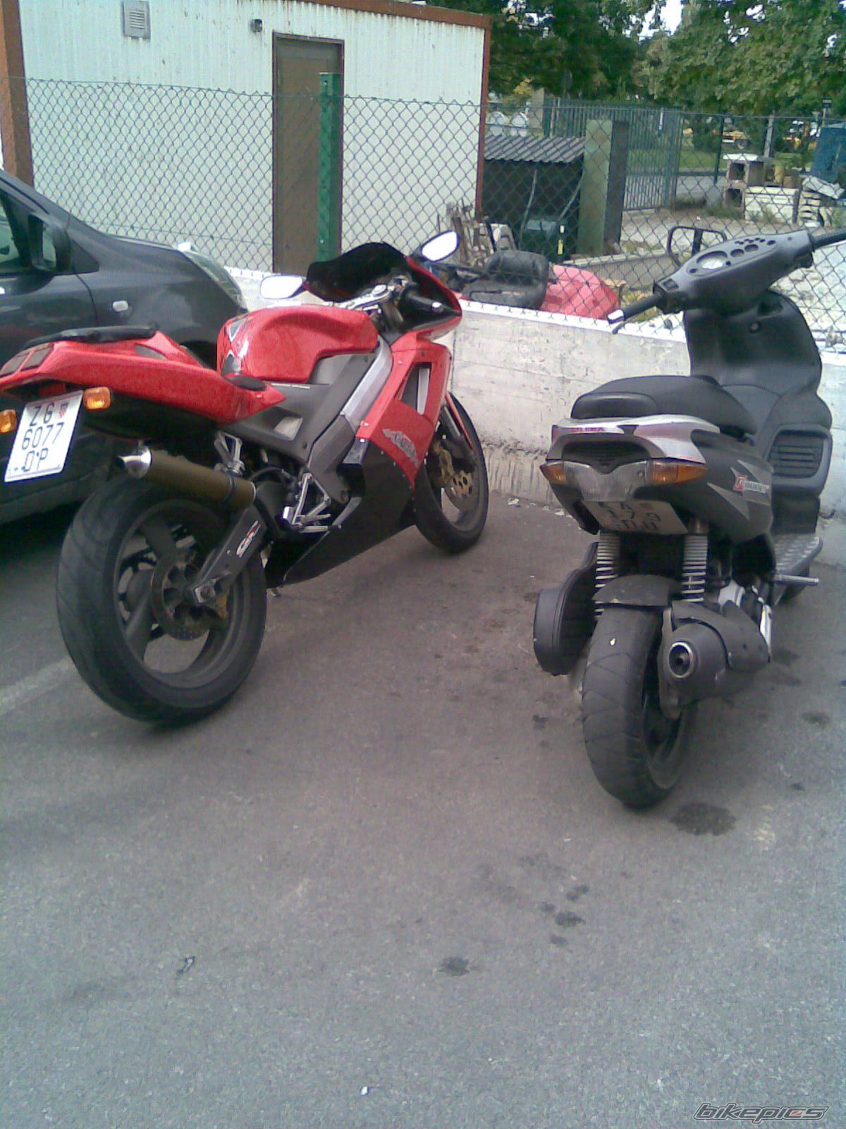 Photo 1425624