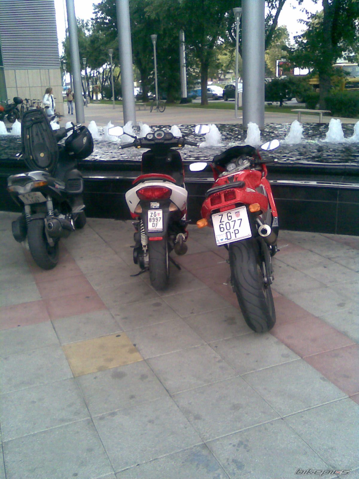 Photo 1425632