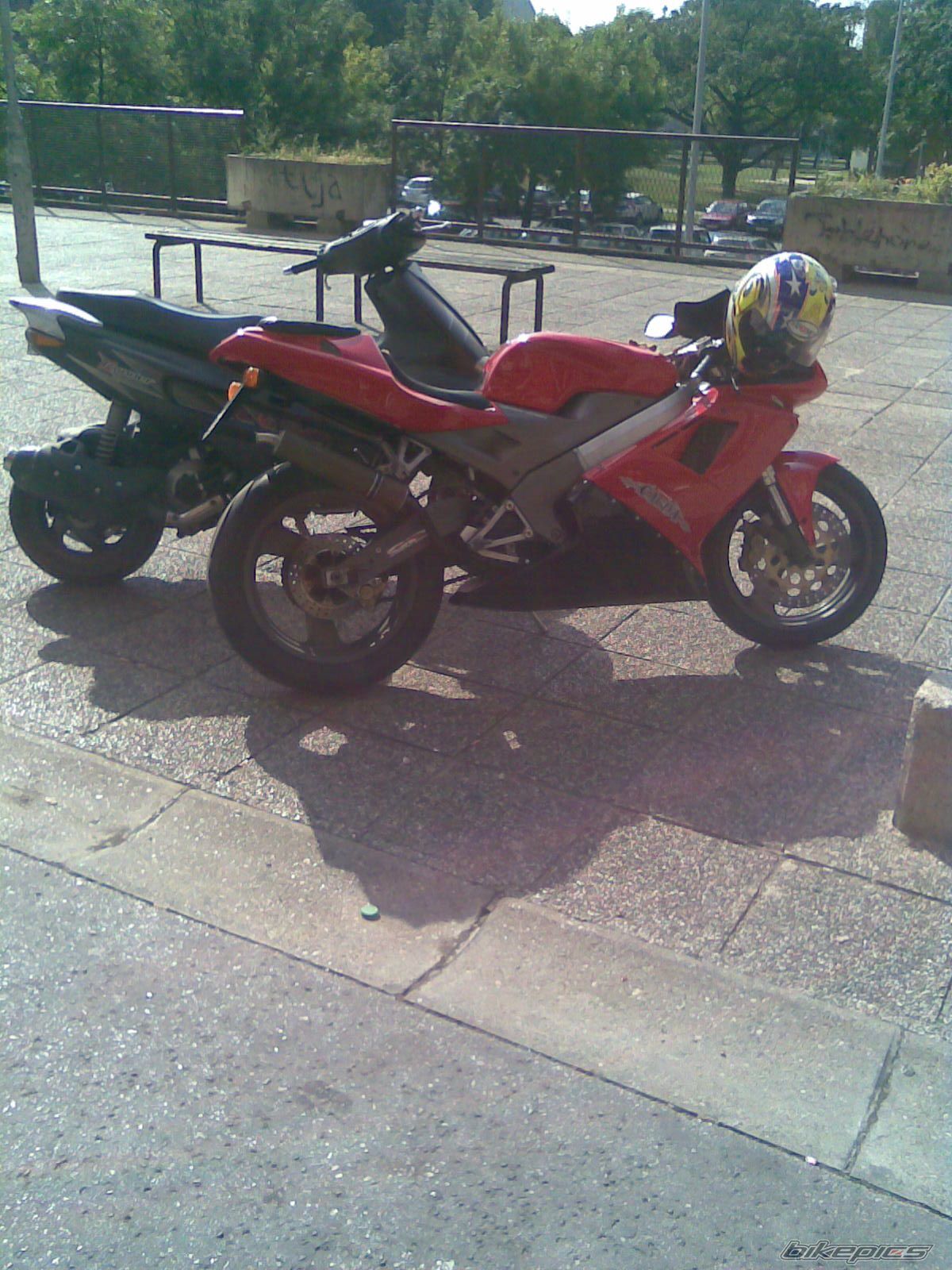 Photo 1425642