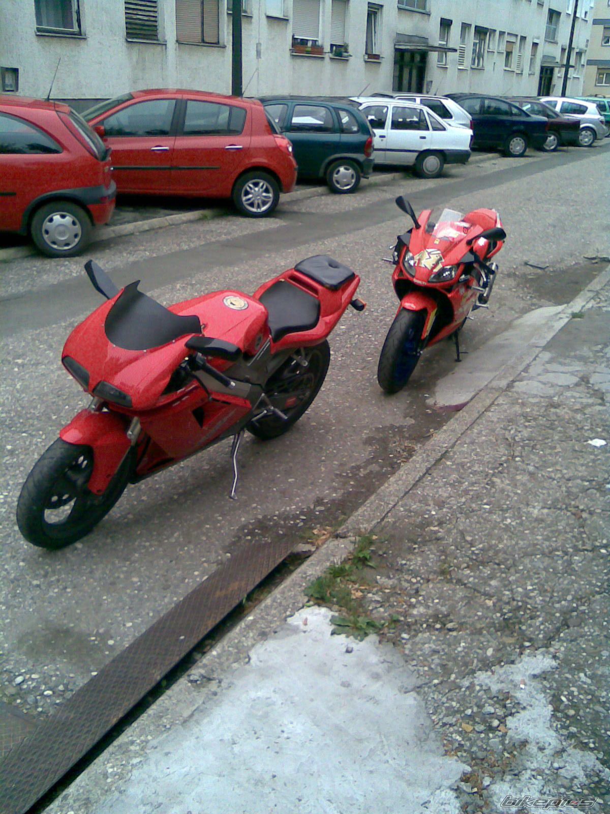 Photo 1425648
