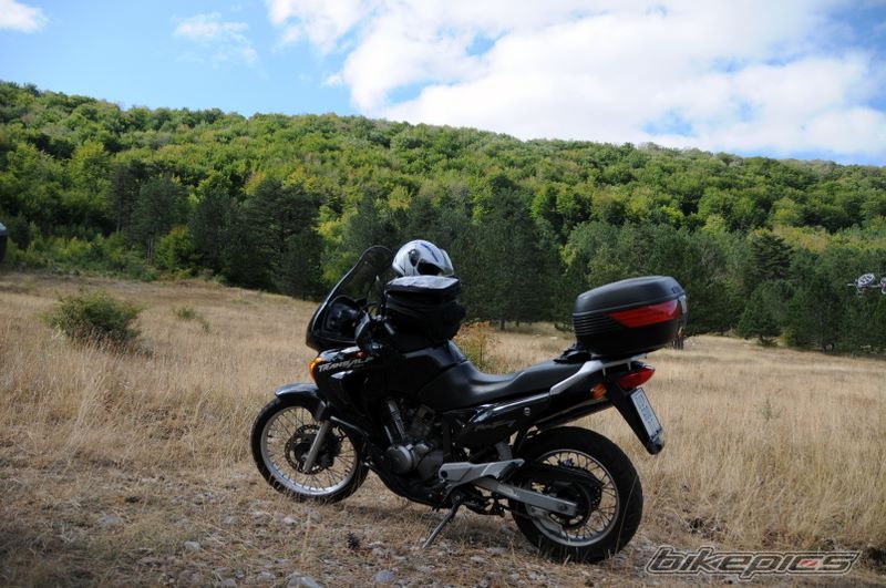 Photo 1425685