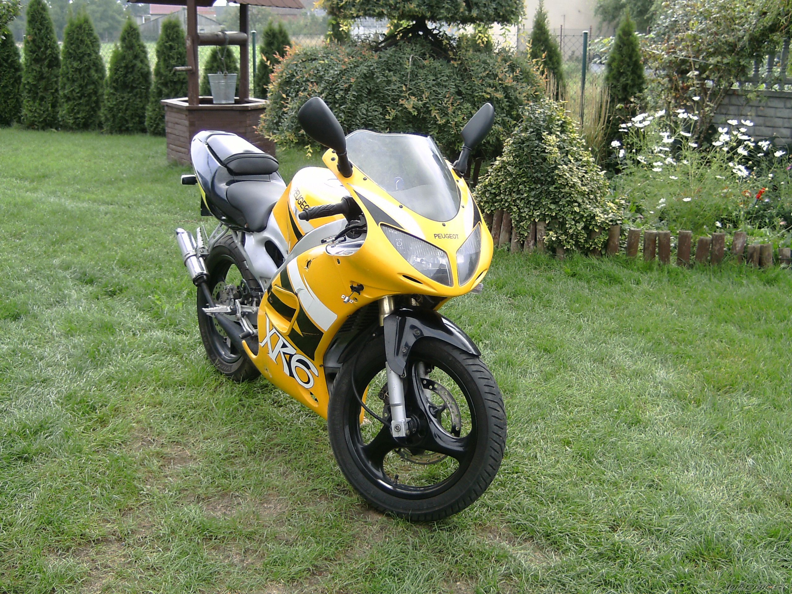 Photo 1425736