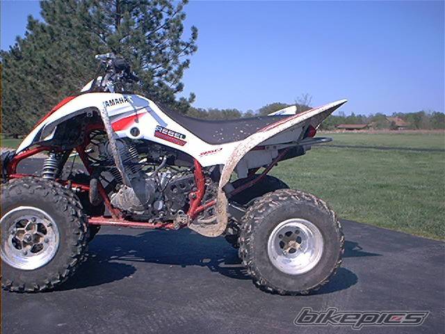 Photo 142574