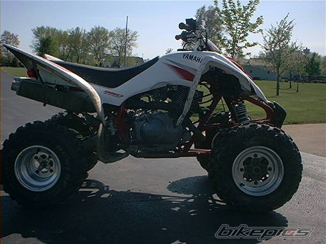 Photo 142577
