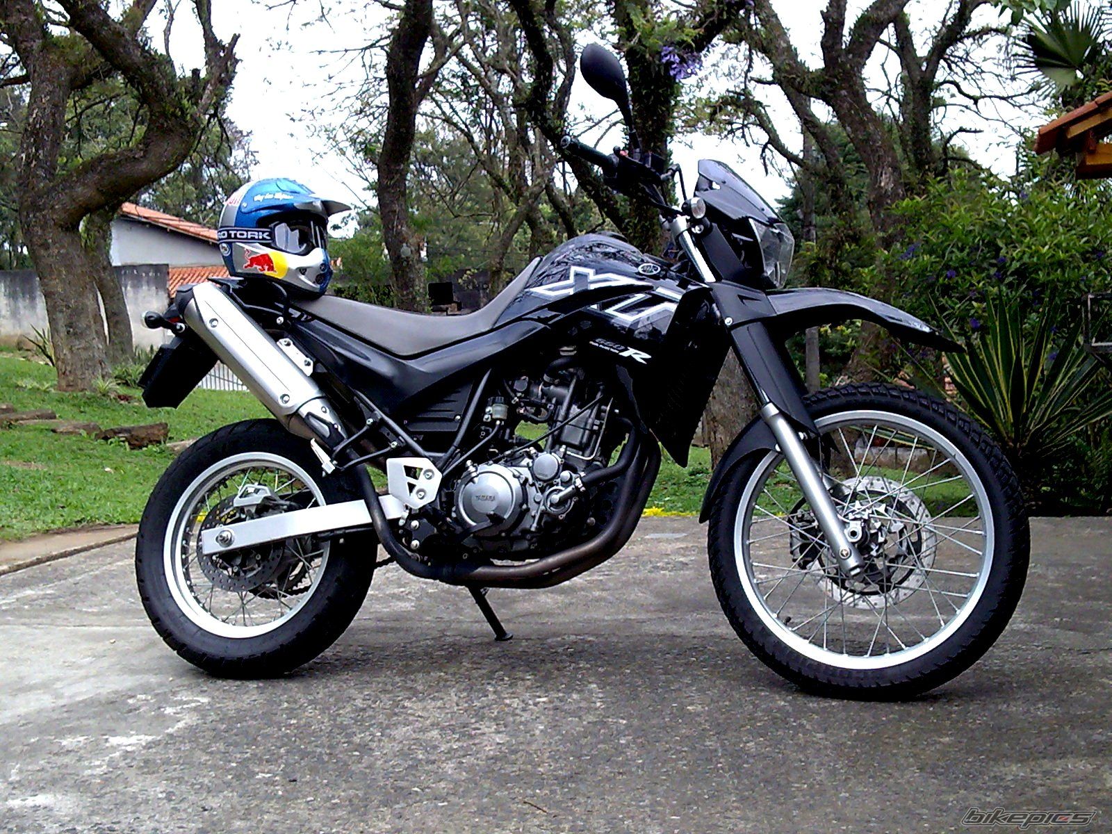 Photo 1425784