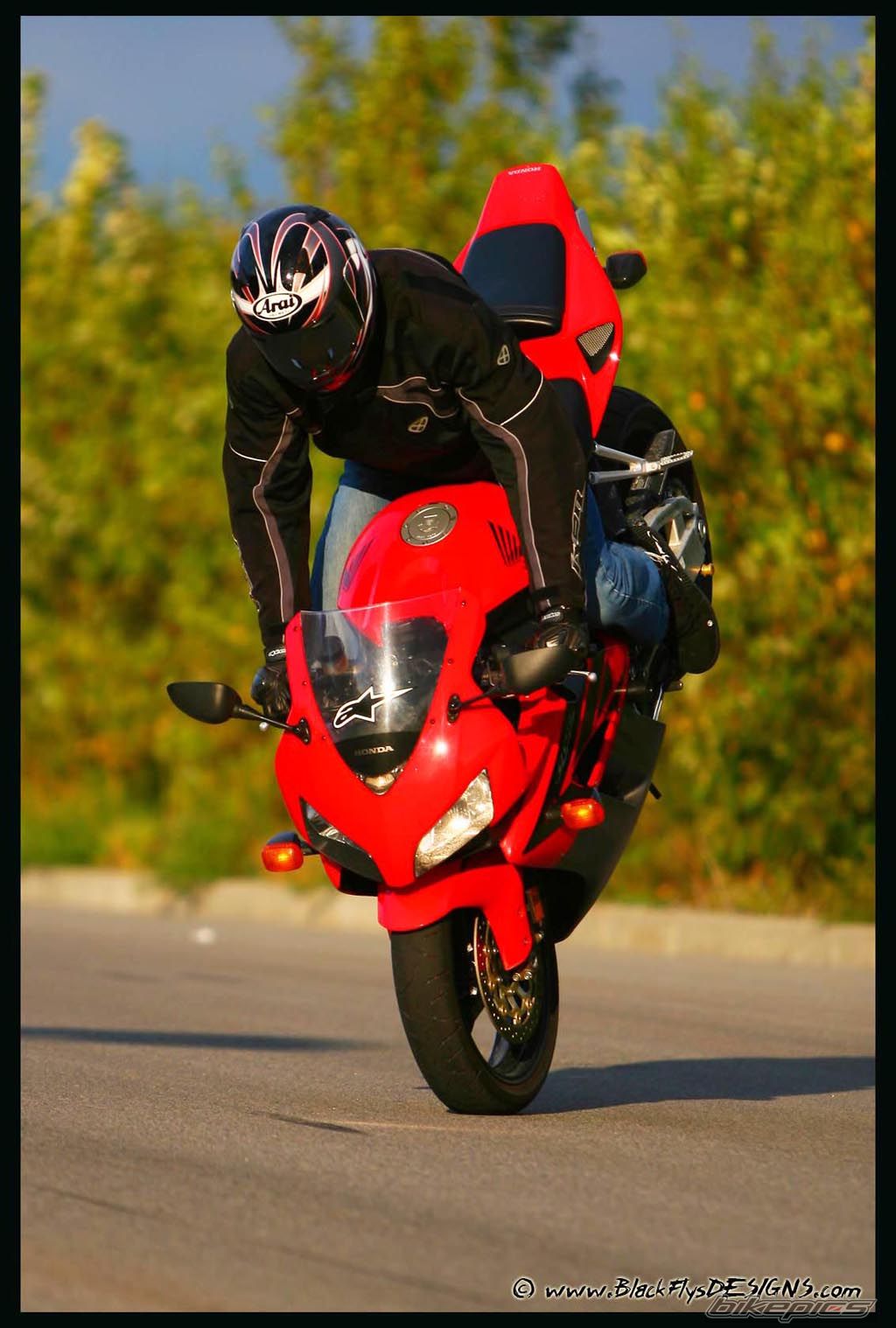 Photo 1425789