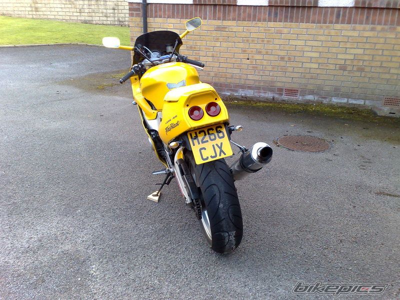 Photo 1425819