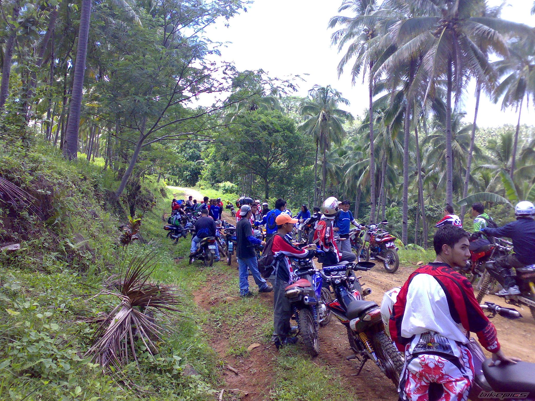 Photo 1425857