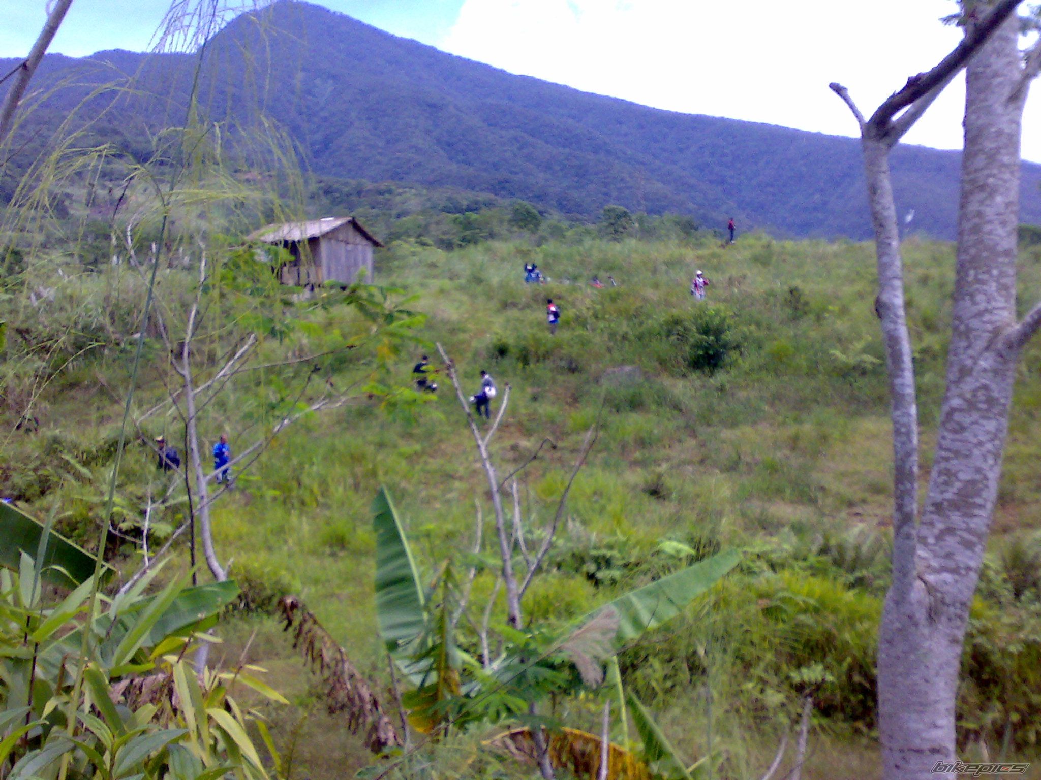 Photo 1425861