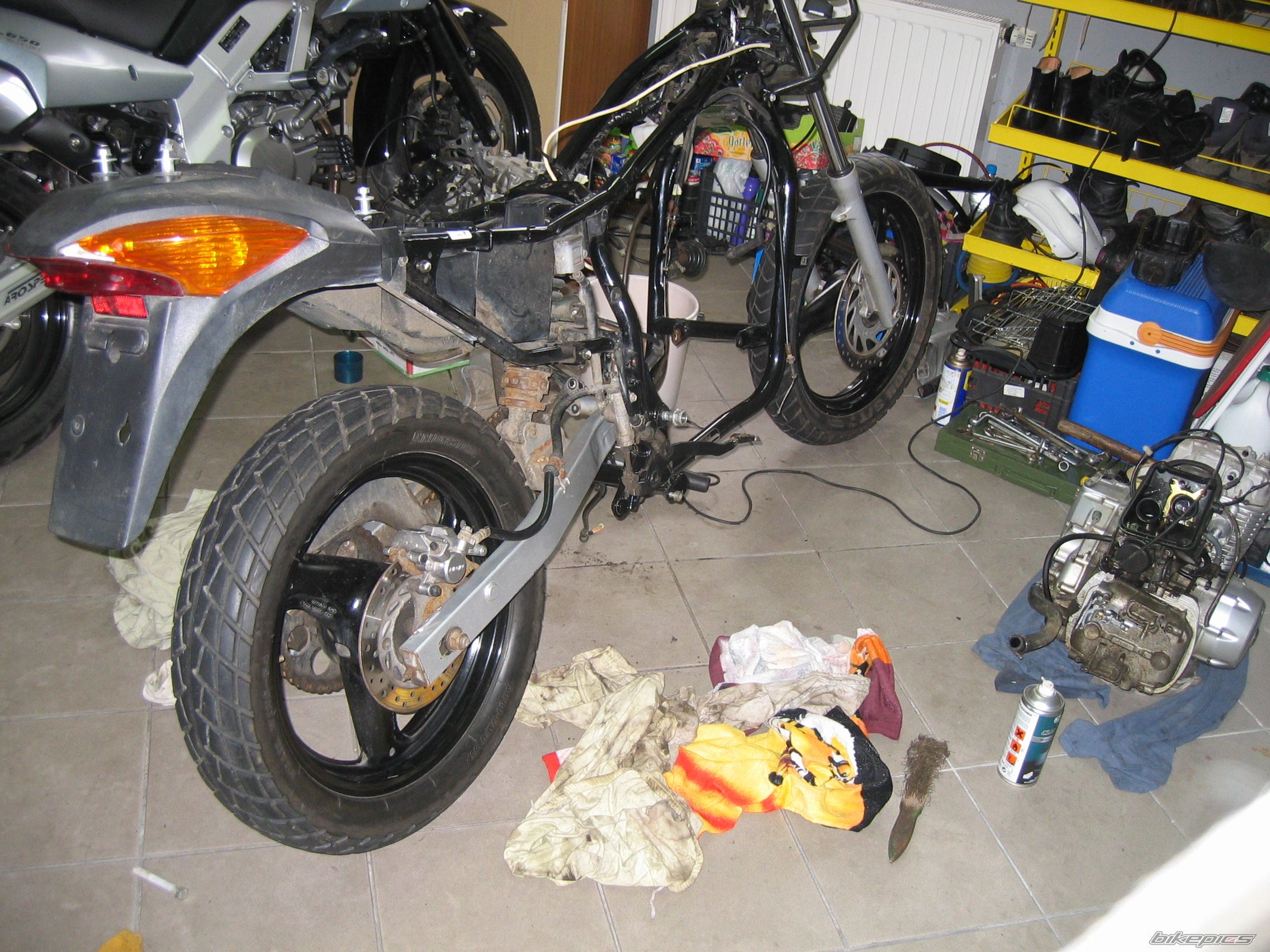 Photo 1425890