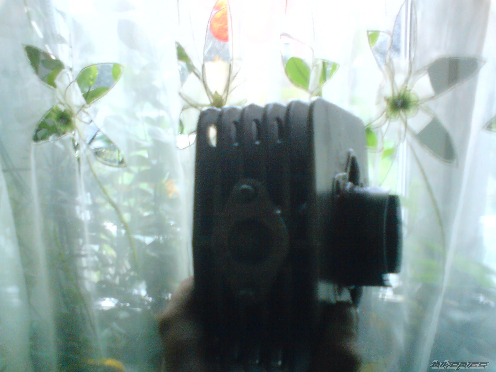 Photo 1425908