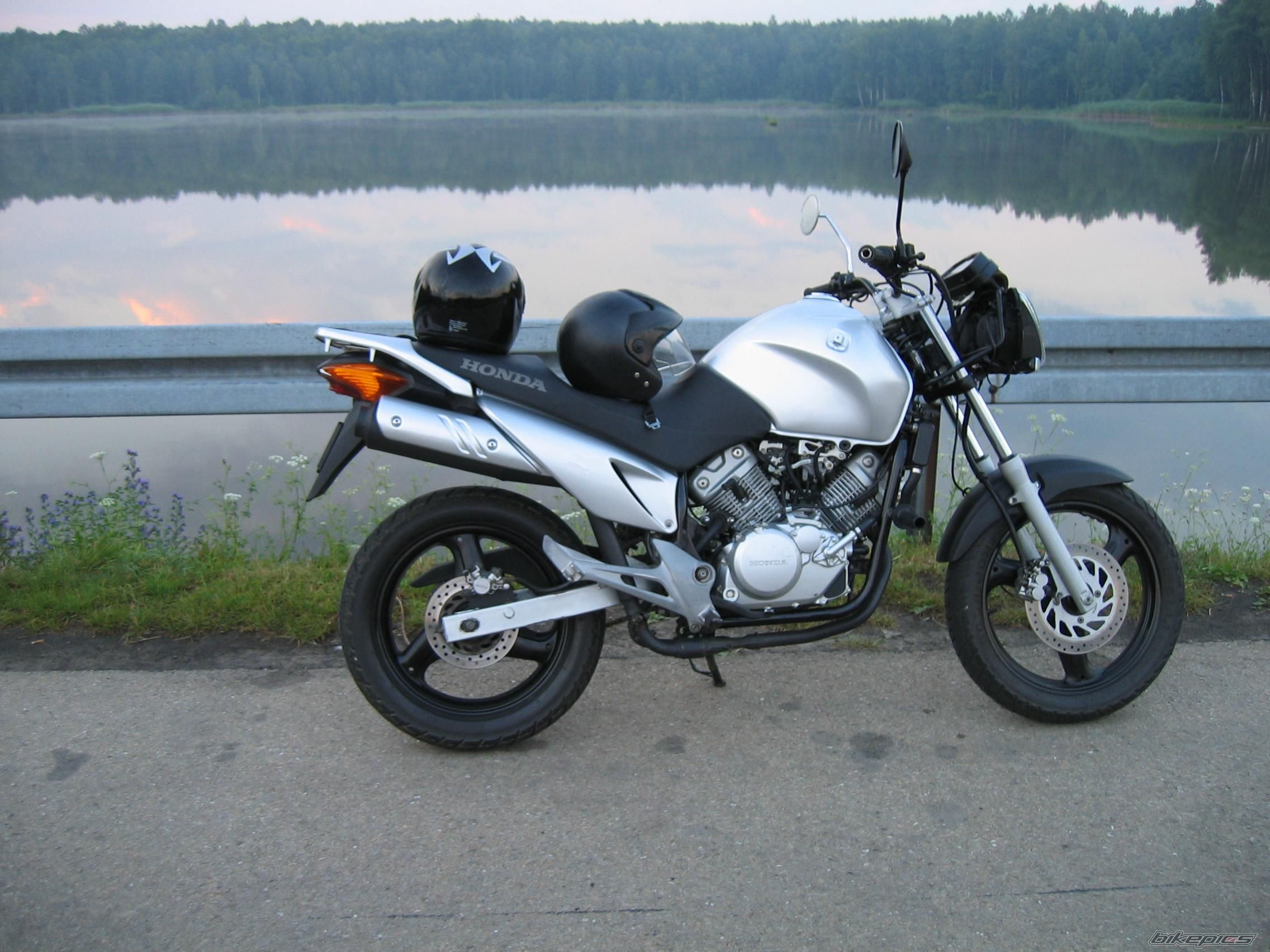 Photo 1425918