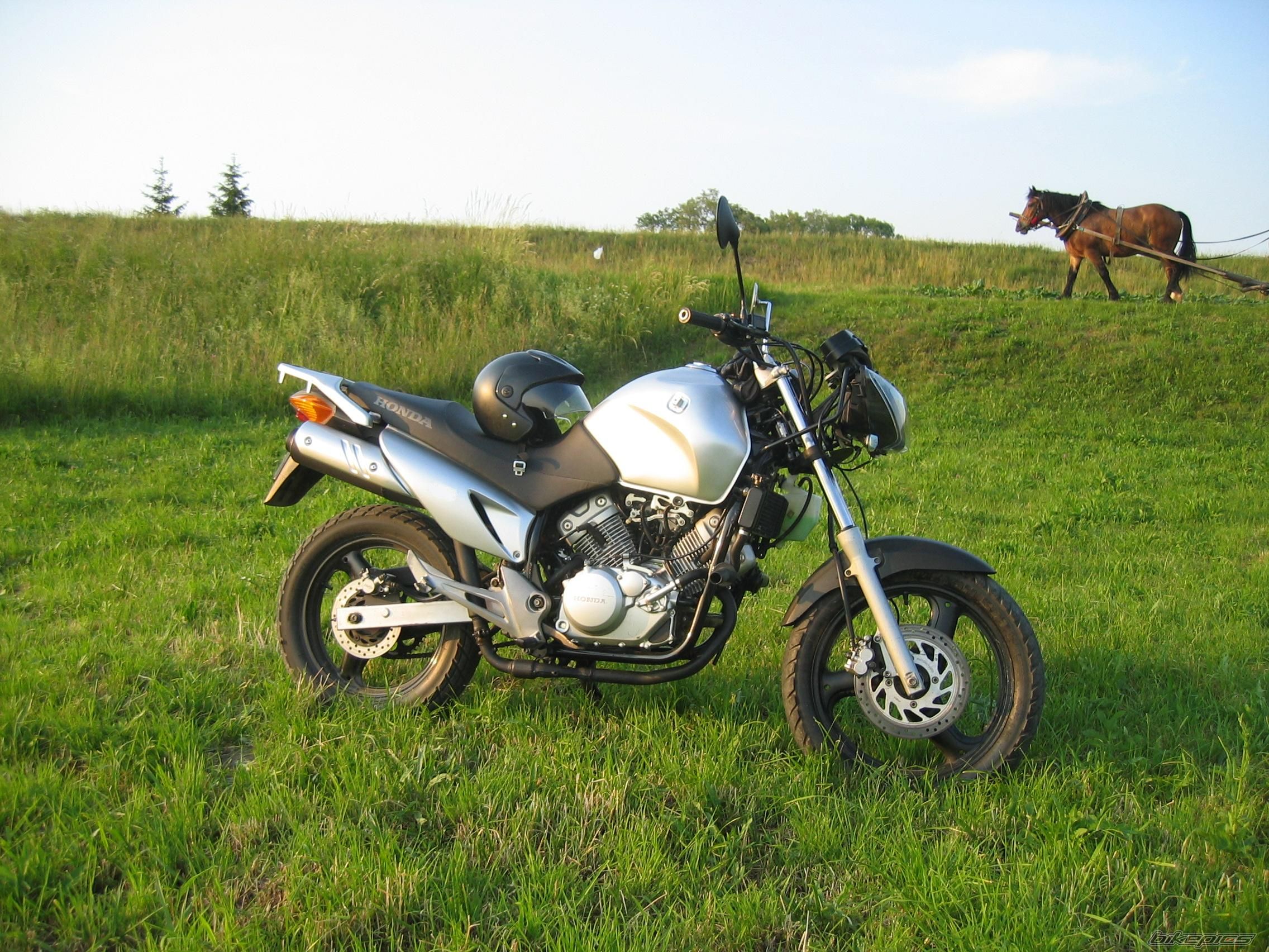 Photo 1425945