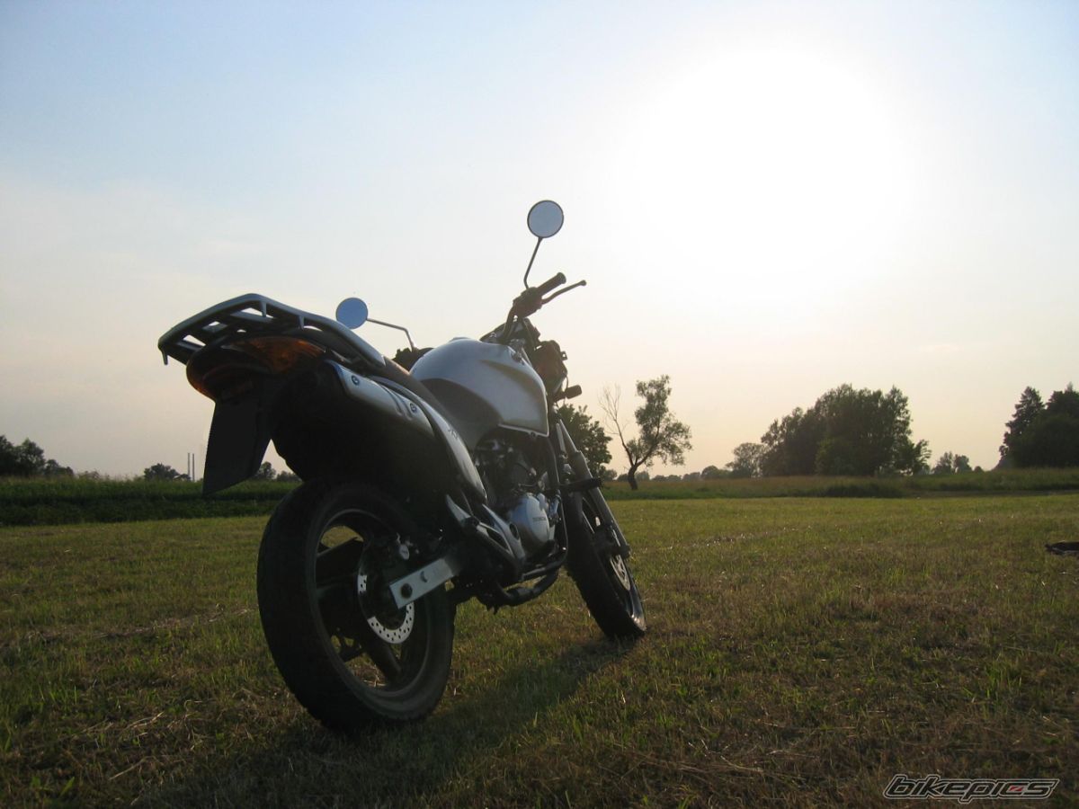 Photo 1425955