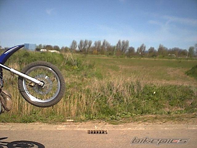 Photo 142596