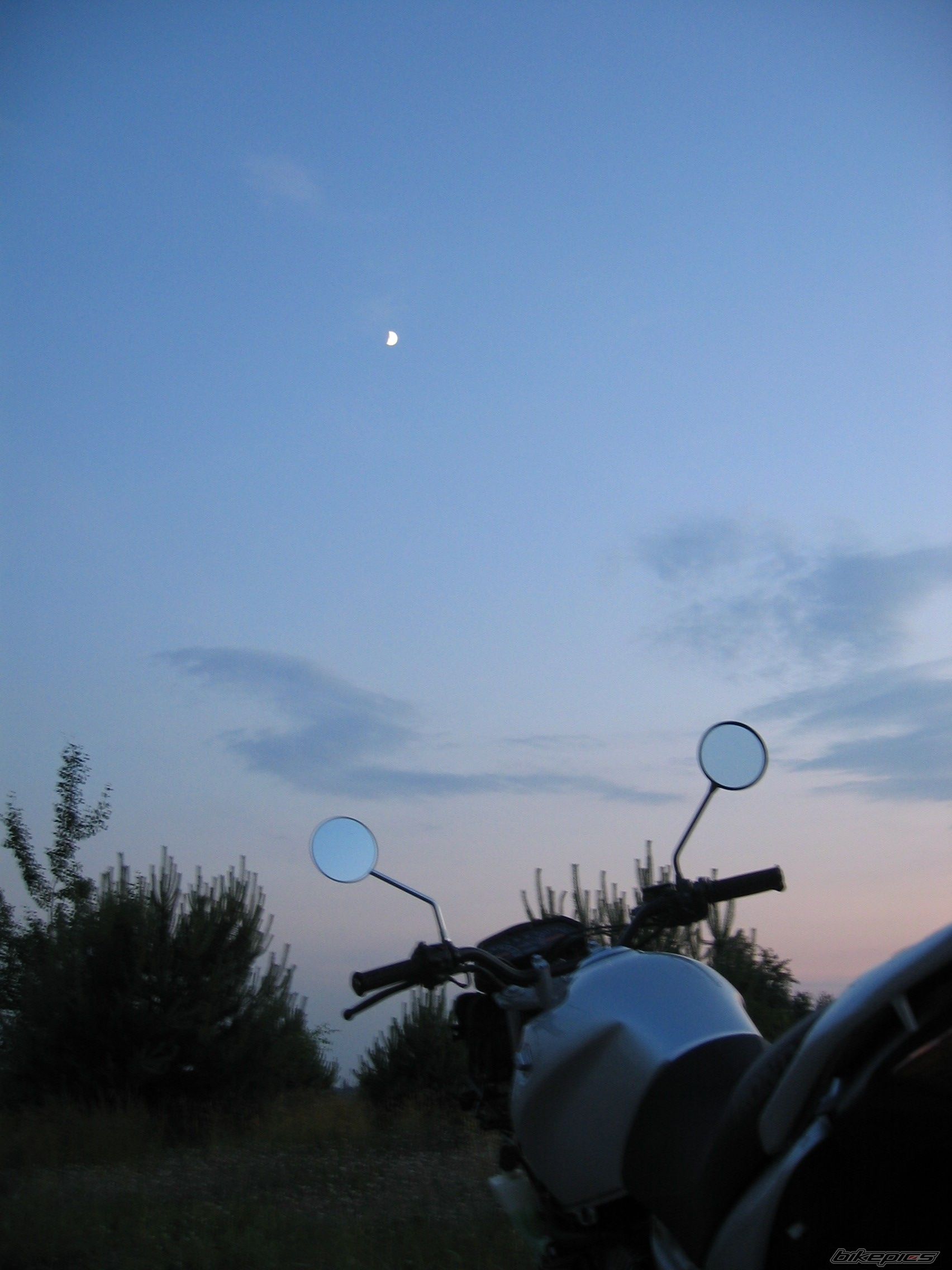 Photo 1425975