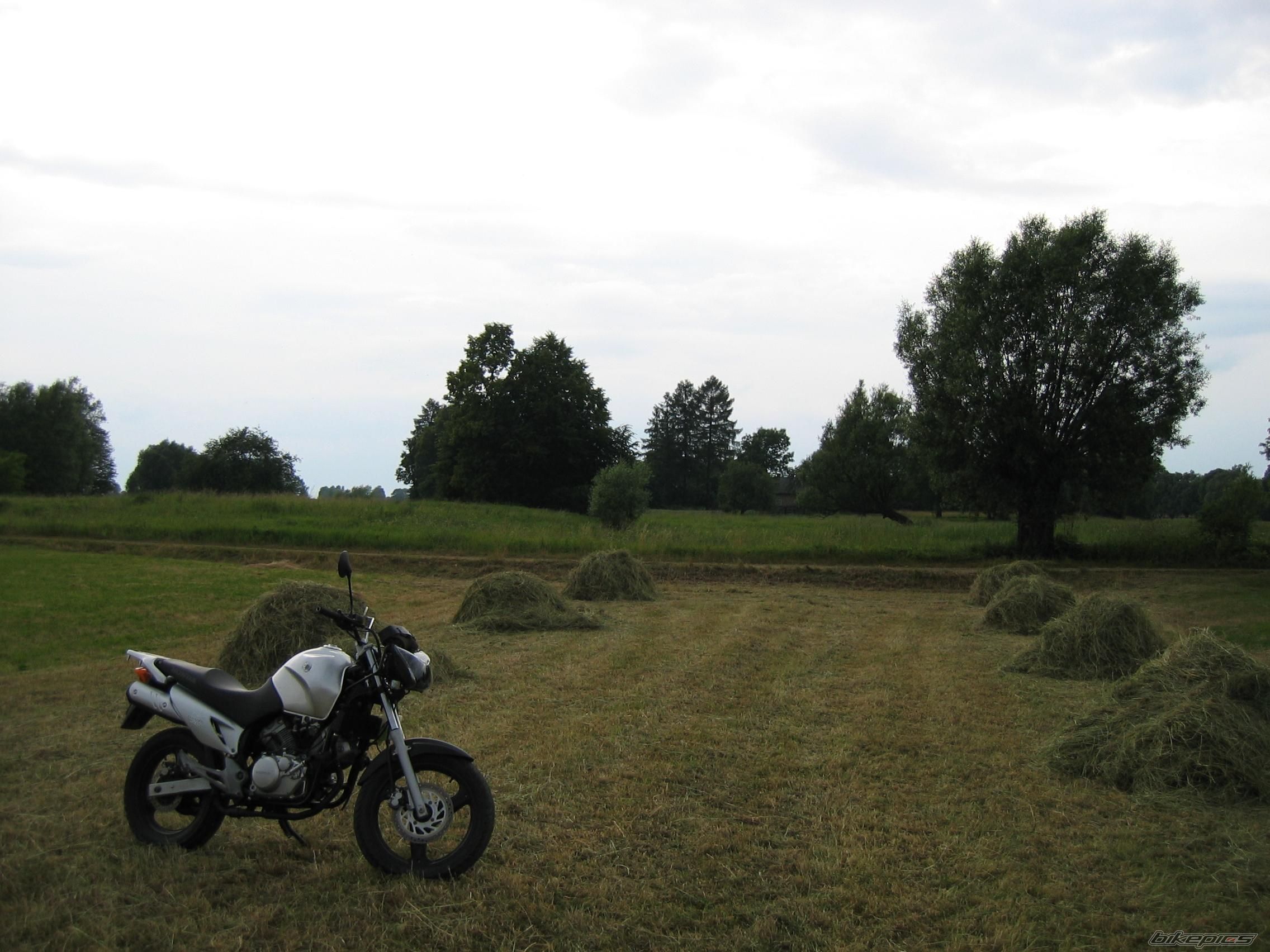 Photo 1425976