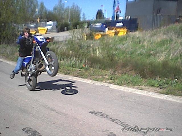 Photo 142599