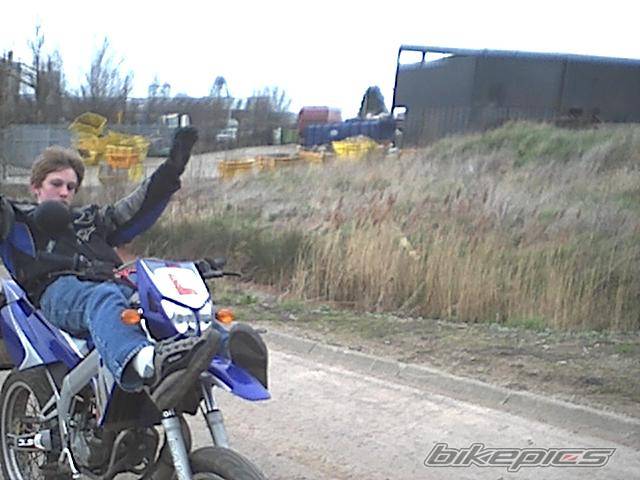 Photo 142603