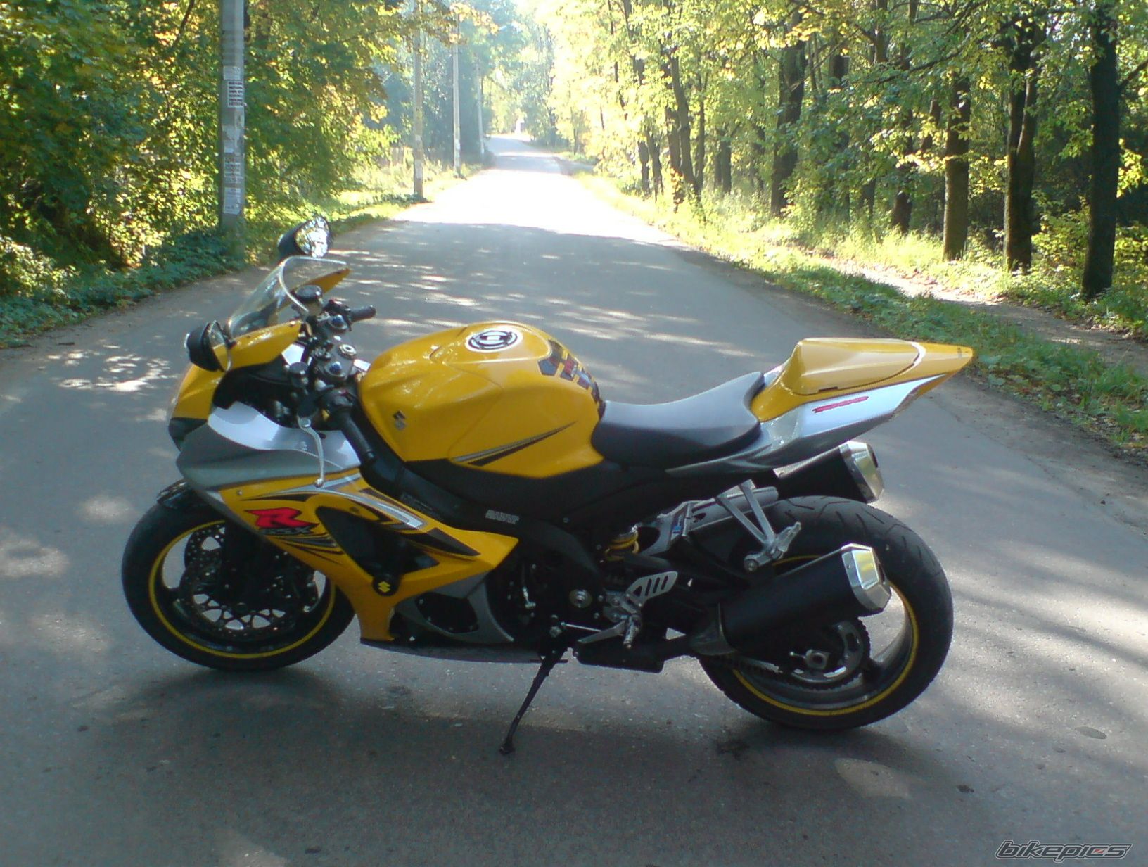 Photo 1426044