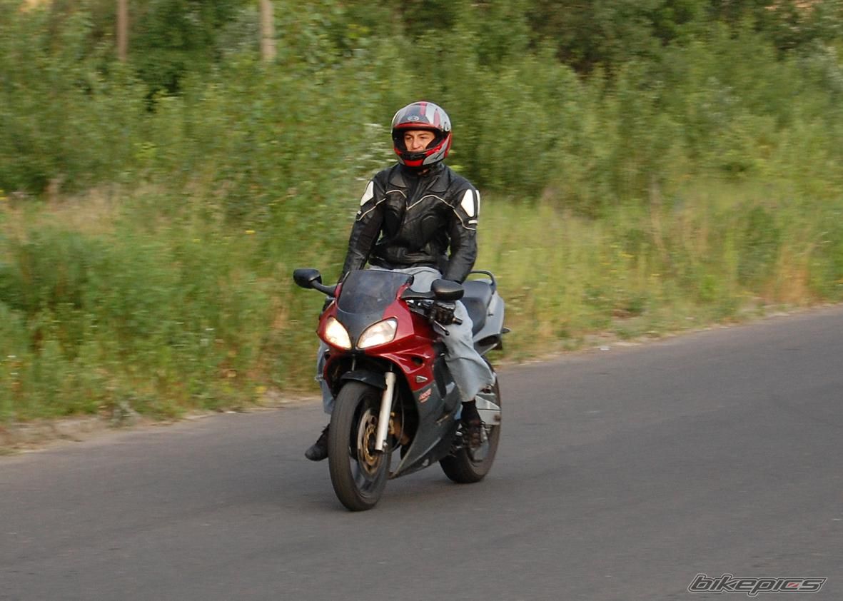 Photo 1426069