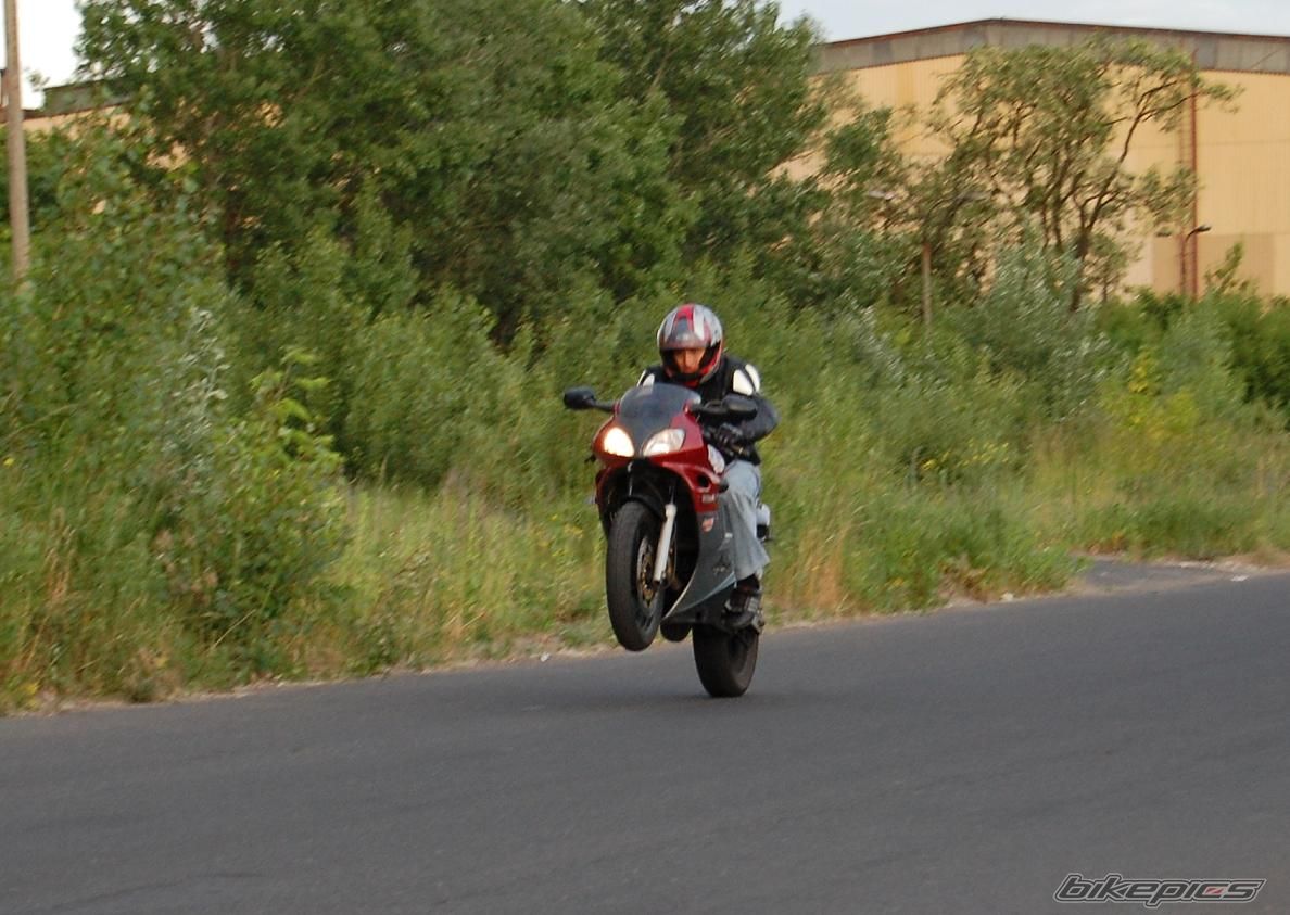 Photo 1426072