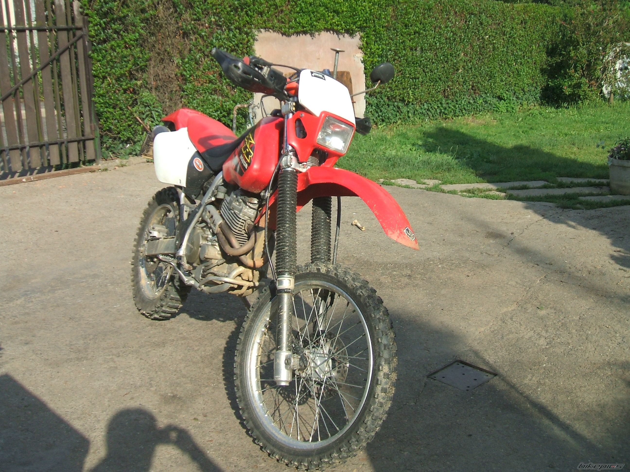 Photo 1426137
