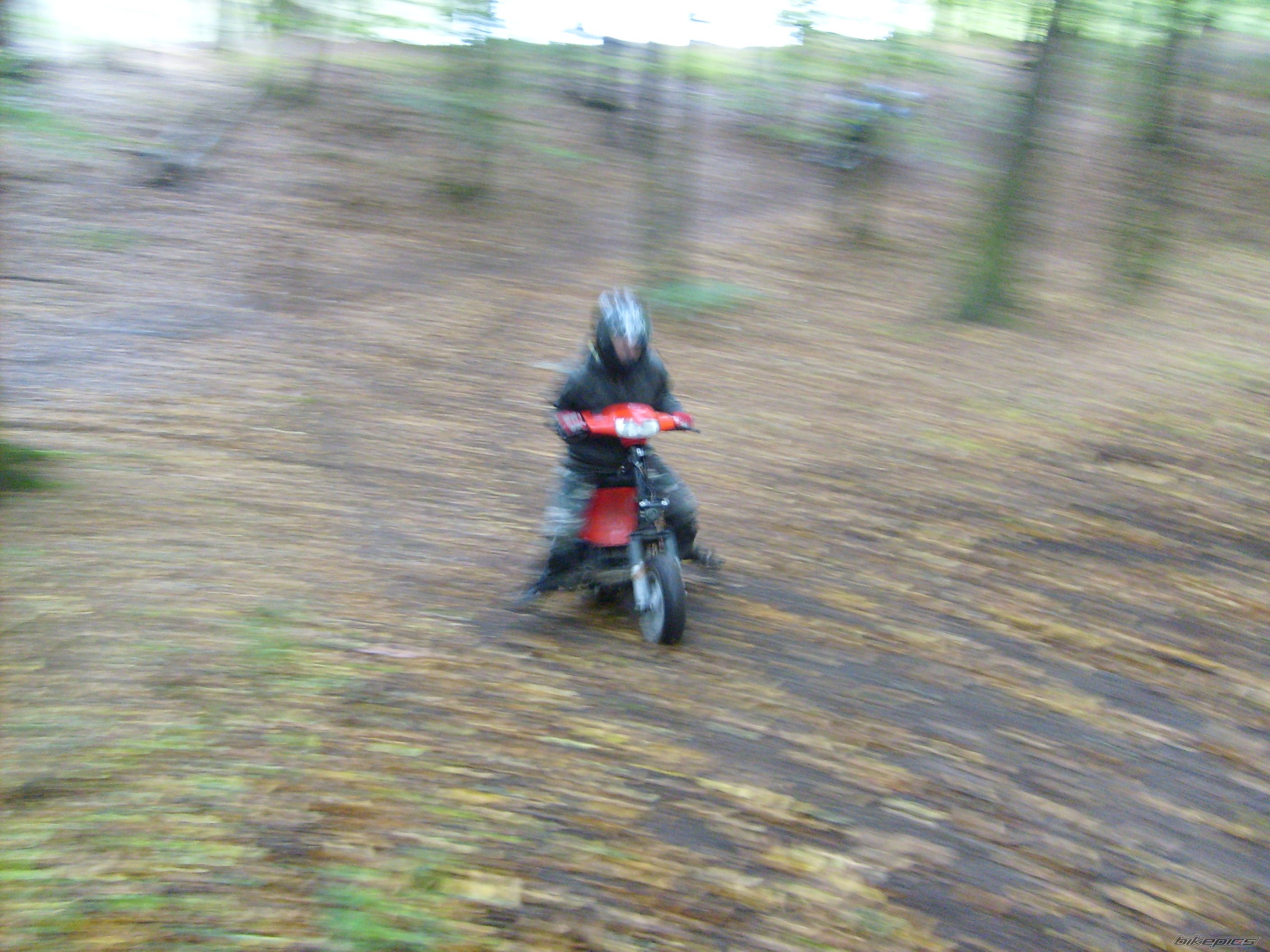 Photo 1426144