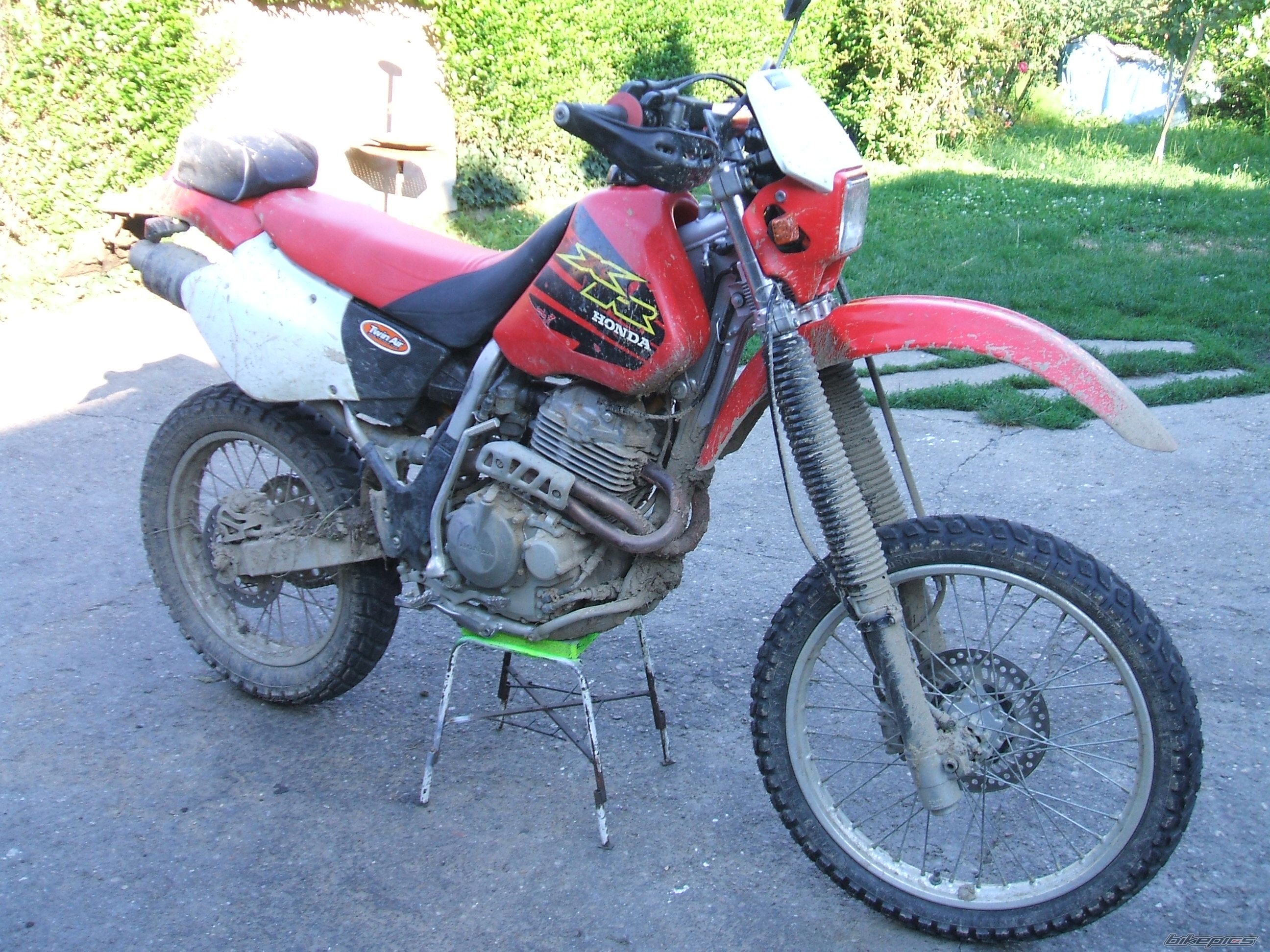 Photo 1426146