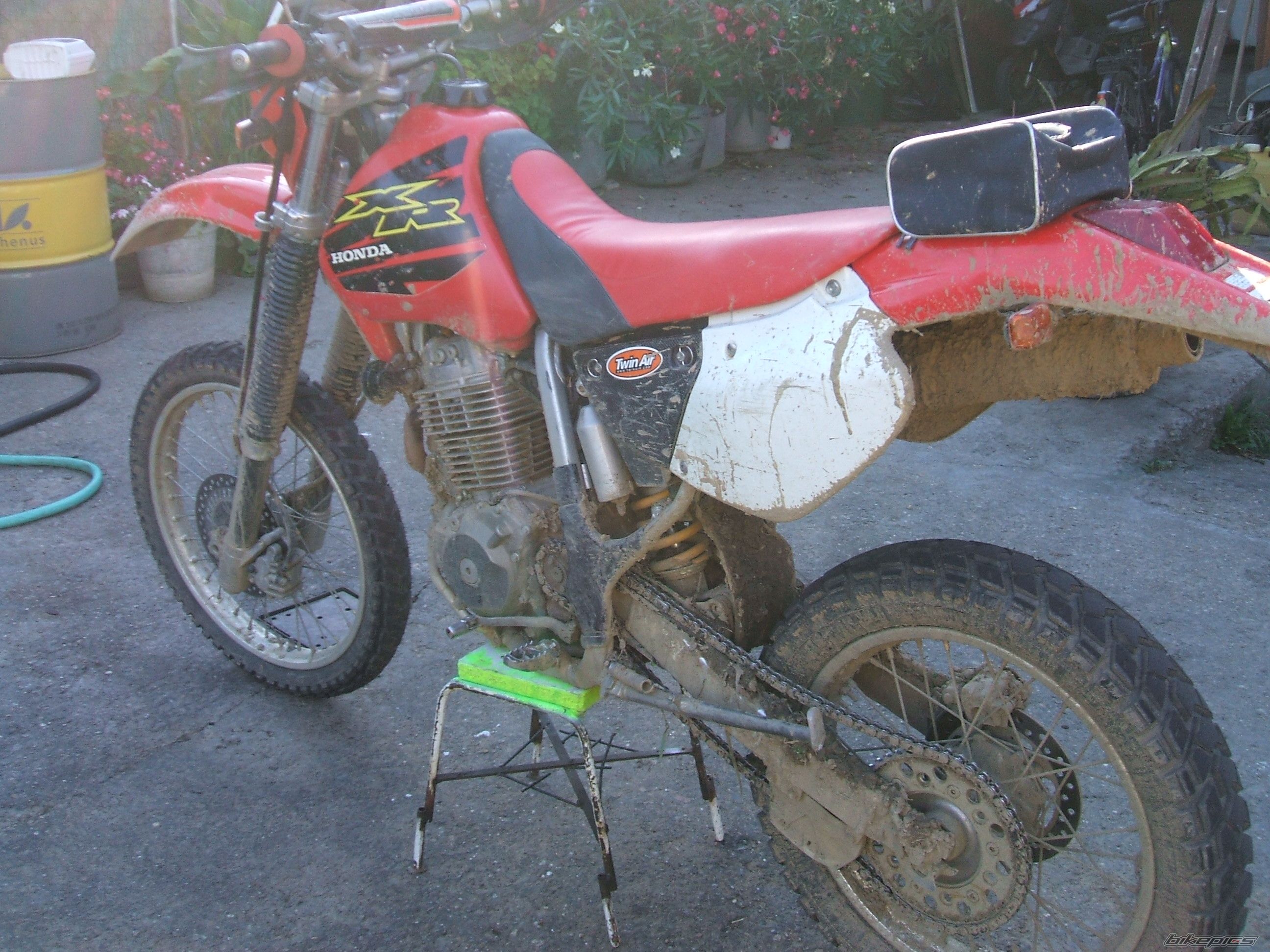 Photo 1426155