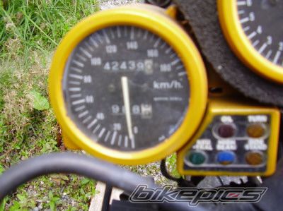 Photo 1426159