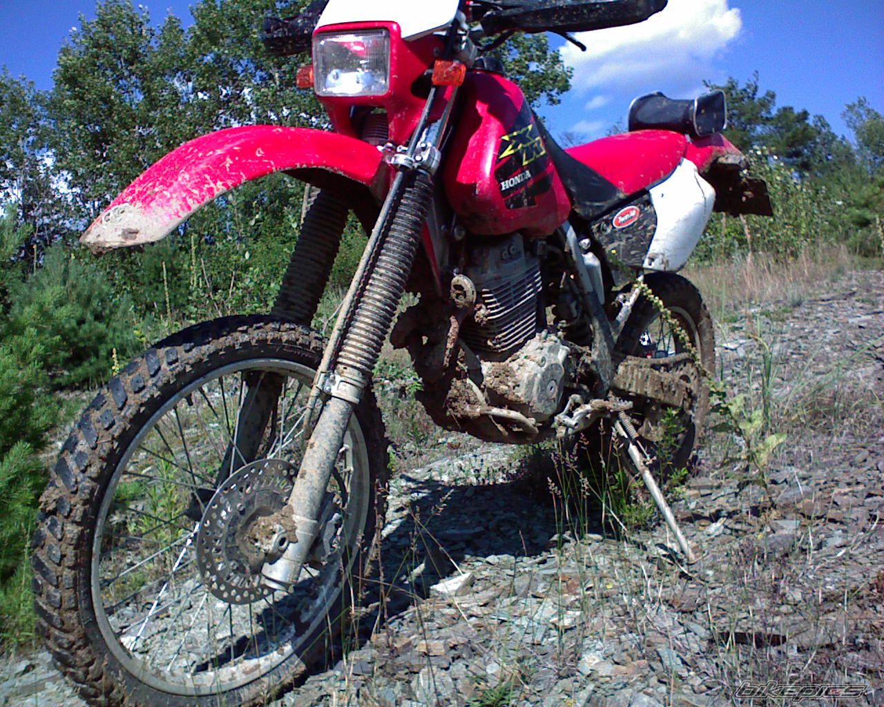 Photo 1426165