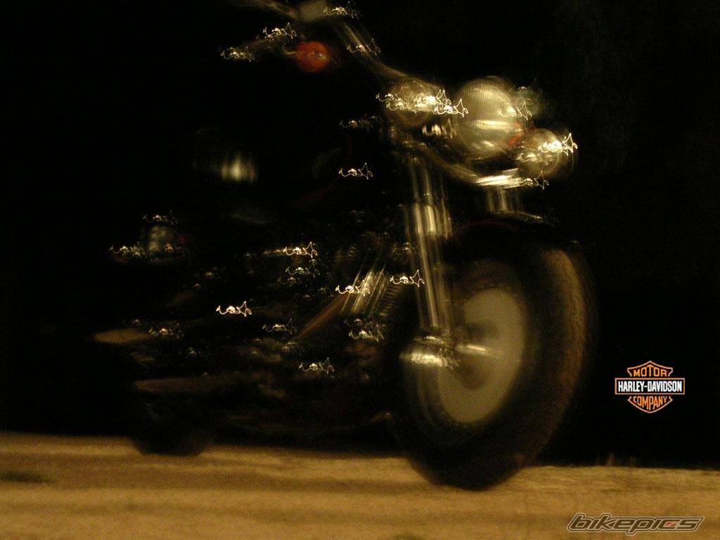 Photo 142620