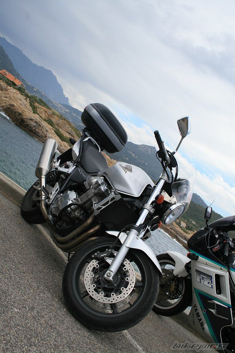 Photo 1426225