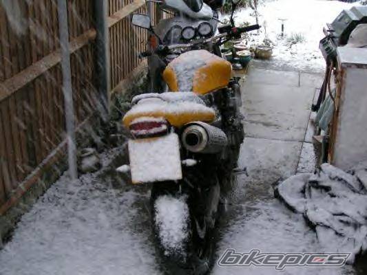 Photo 142623