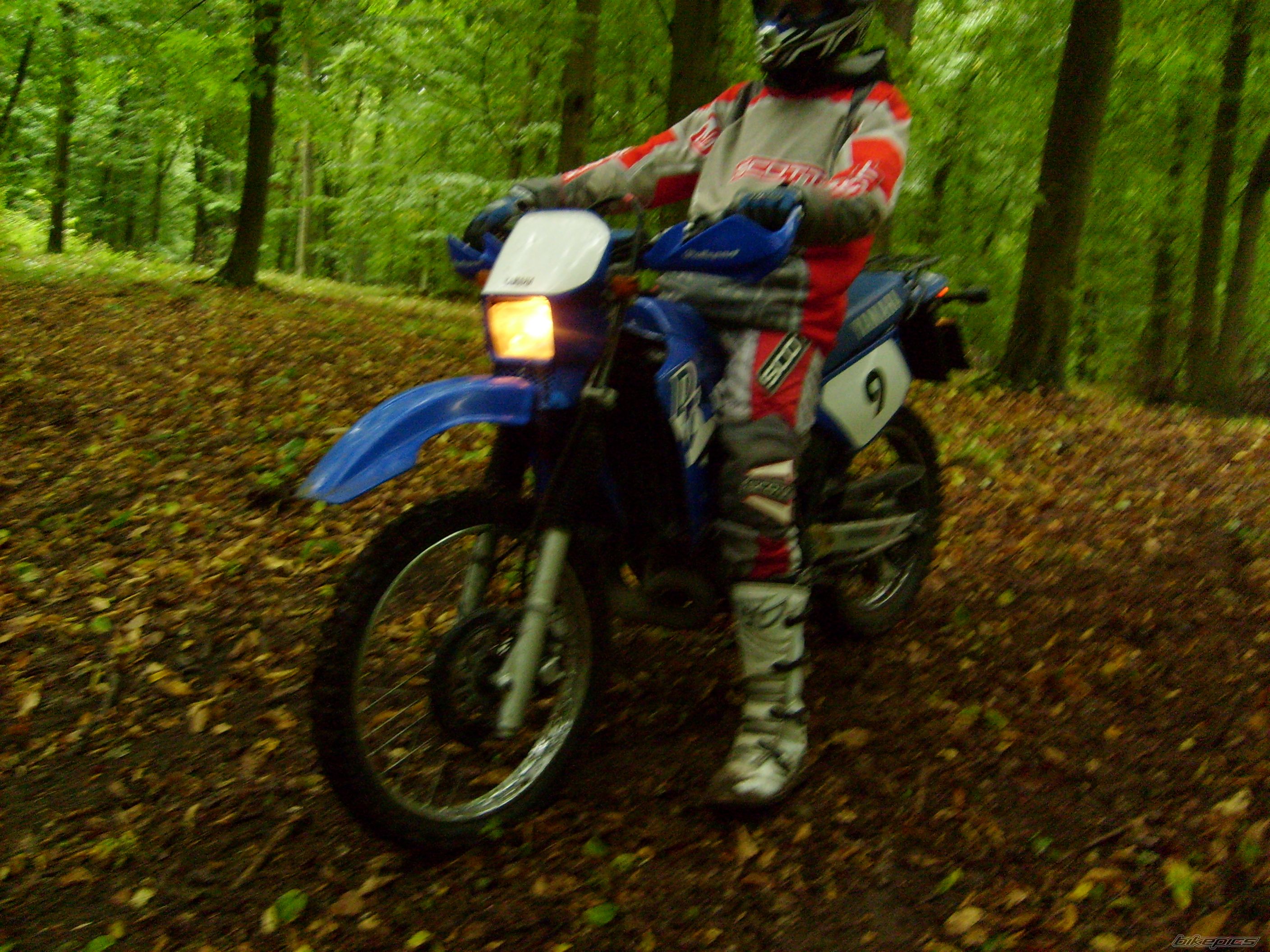 Bike Photo 1426241