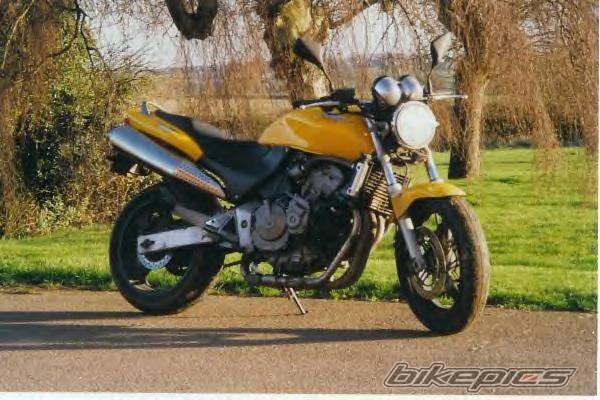 Photo 142627