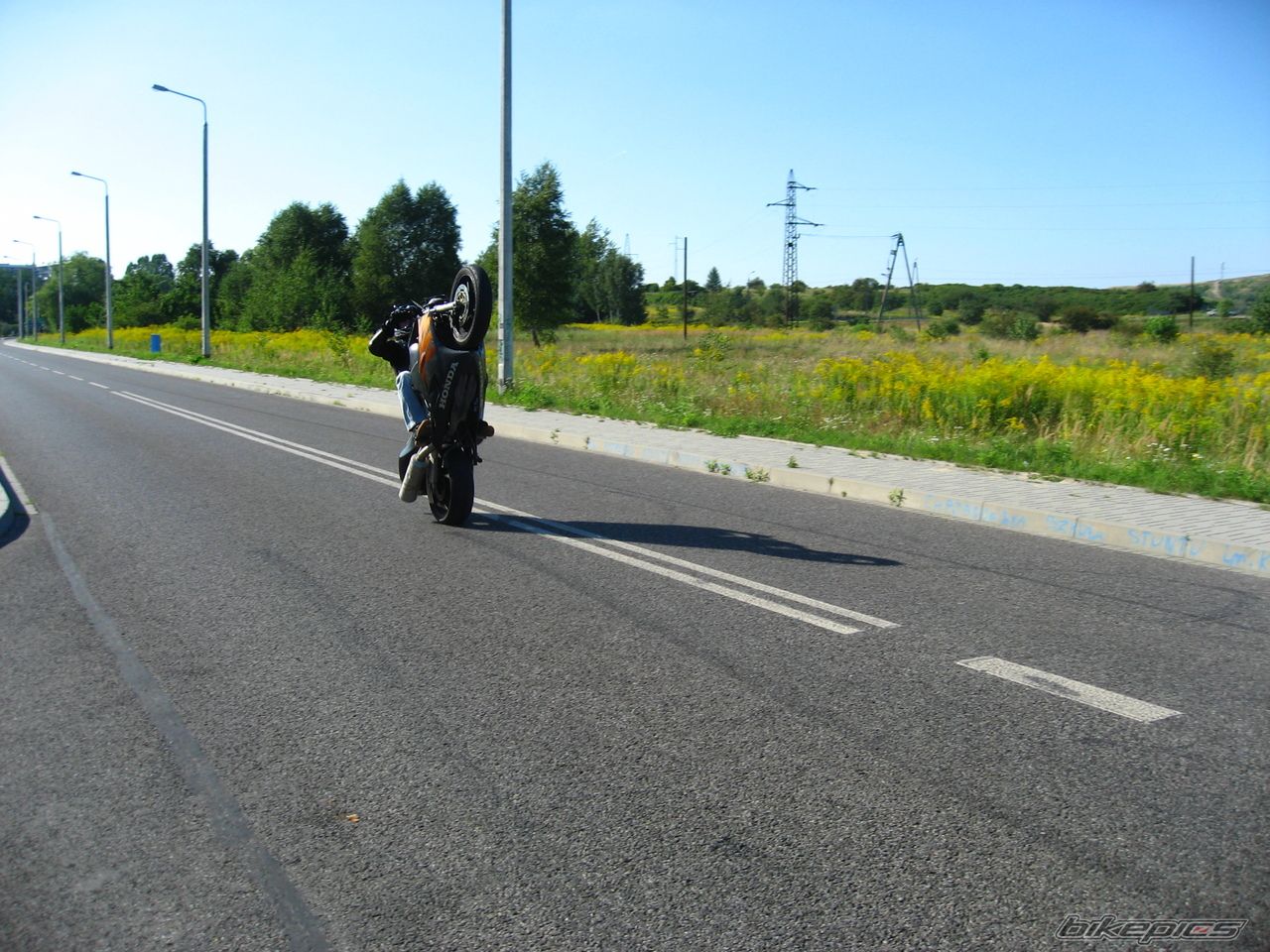Photo 1426389